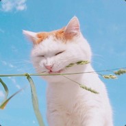 黄焖鸡米饭真好吃w