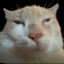 Bartek's avatar