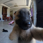 超级无敌暴龙战士