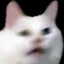 muffn