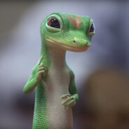 ScekotheGecko