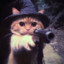 Gato Pistoleiro
