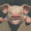 Piggo89