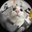 ksixue-