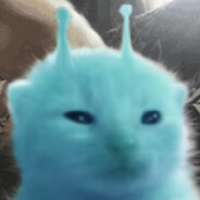 Blorp