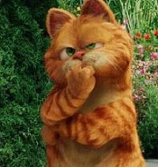 【加菲猫】Garfield