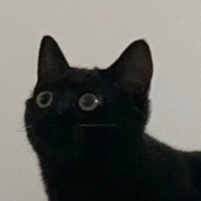 iii小陈喜欢顶撞老师