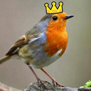 robinwastakn