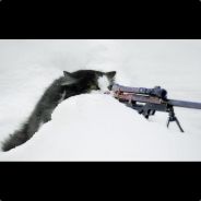 Private Beavis - steam id 76561197963529180