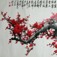 Plum Blossom Falling