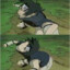 umm sasuke?