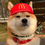Shiba Jai