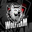 WolfTeam - Diniz