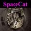 space cat