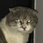 그러는넌얼마나깨끗해