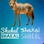 Shakal