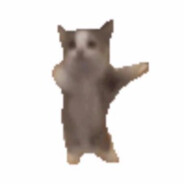 绝对没开的happy