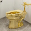 Notorious Toilet Clogger