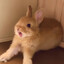 strawbun
