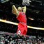 D.Rose1