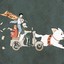 Guozii-