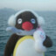 Pingu