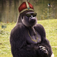 Gorilla