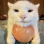 wasapiku