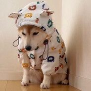 チョコたいやき