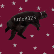littleB323