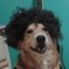 afro dawg