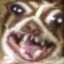 Gewuerzkoma