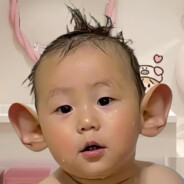 翻斗花园胡图图