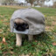 Tortu