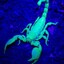 Scorpio