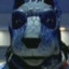 Anubis Cruger