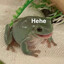 SoggyFroggy