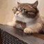 savva_9
