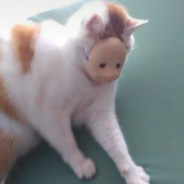 Big Avatar