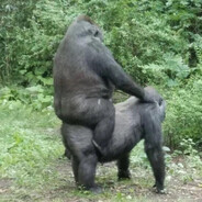 UltraSatanicBloodGod