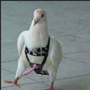 Poenderhoes
