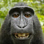 My Profile is You