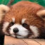 秋