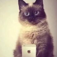 Avatar snapshot