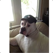 EasyRider/KnightRider