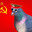 c0mmieSLAV