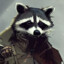 Raccoonssun