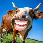 Mini Moo 5.0