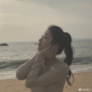 火力支援王耀武