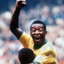 PELE